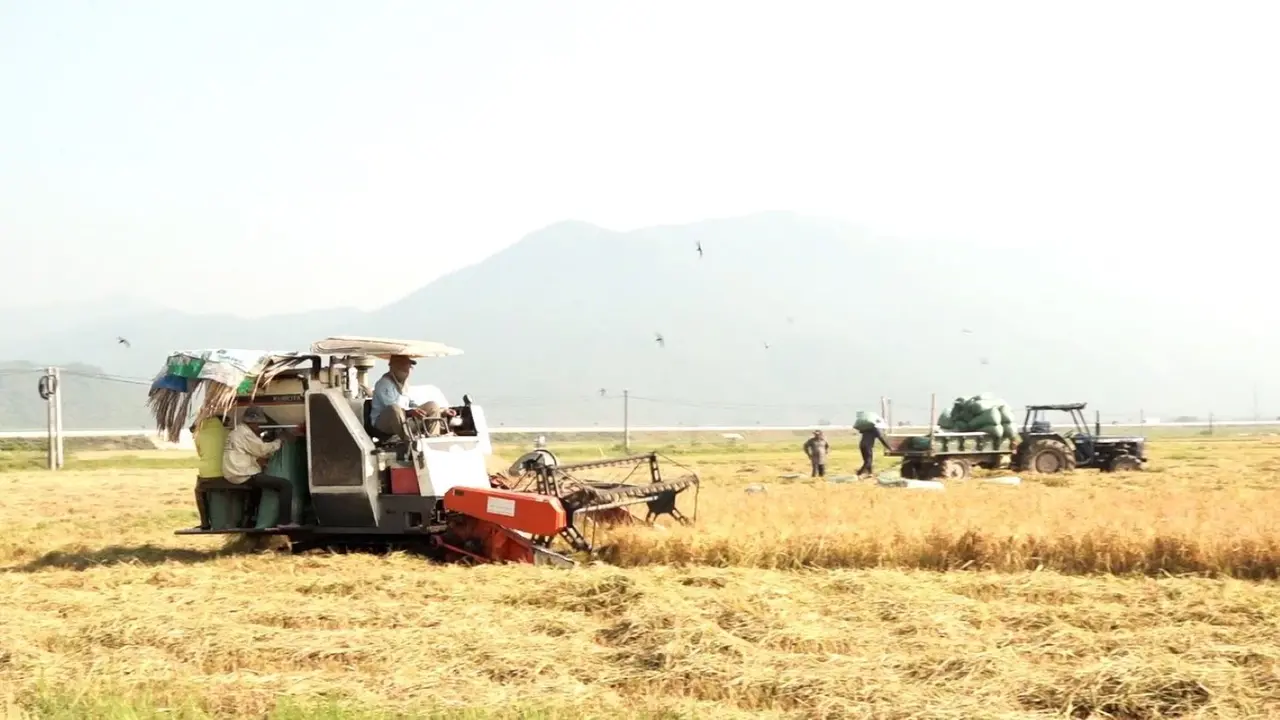 في الربع الأول من عام 2026، تخطت إيرادات ميزانية بلدية فان نينه 187% من الخطة.